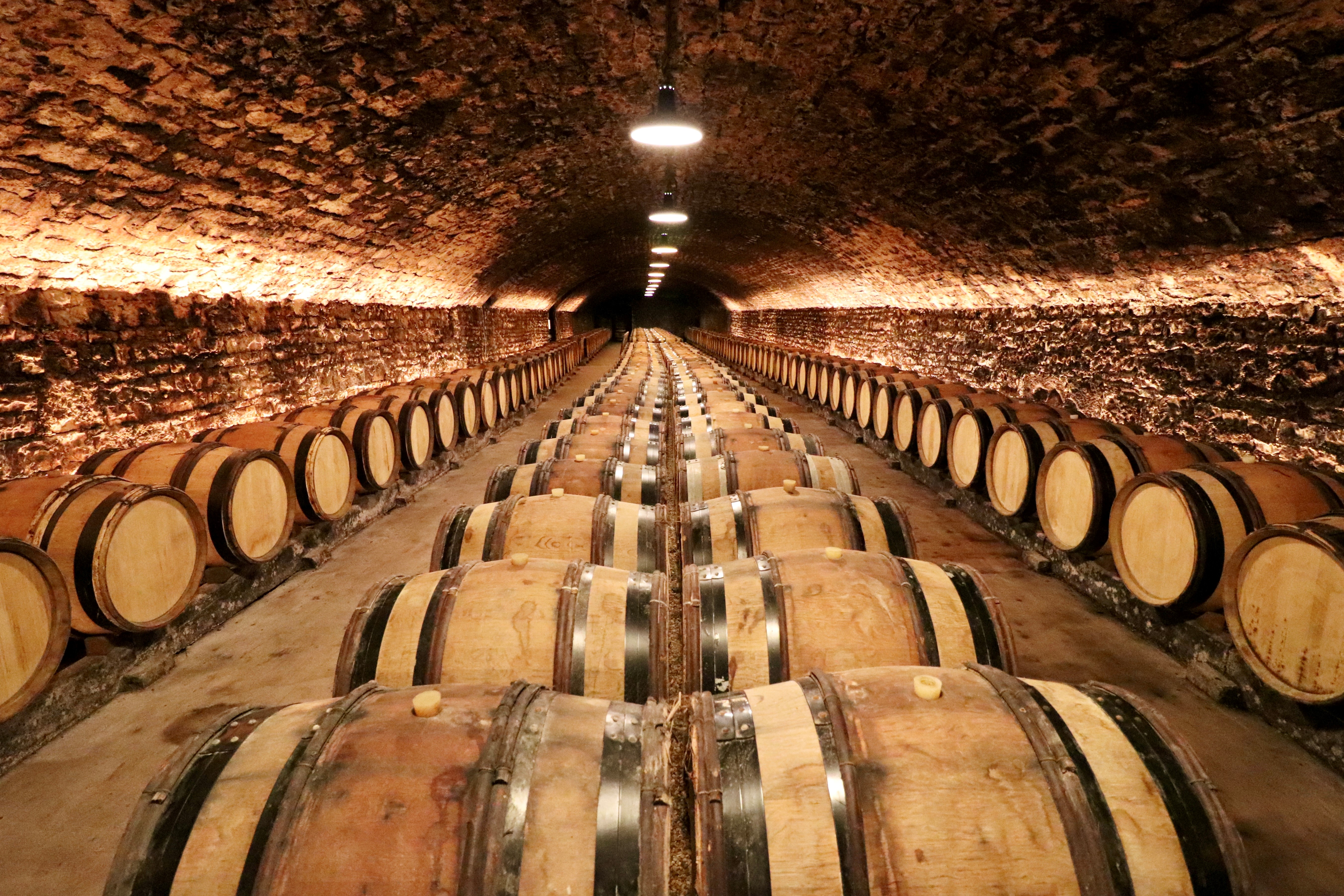 Caveau Nuits Saint Georges